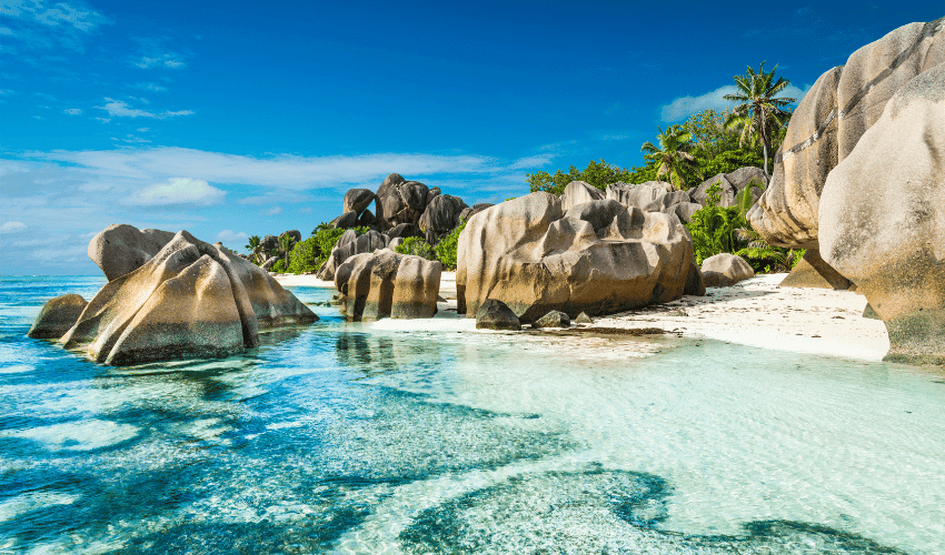 Seychelles Island Life