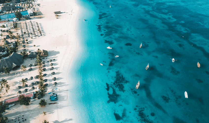 Zanzibar Spice Escape